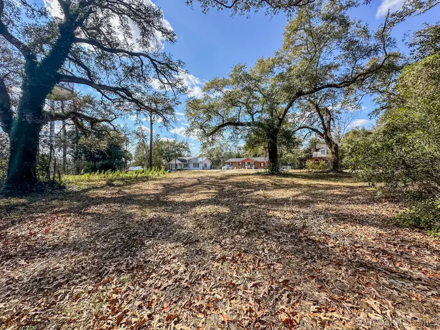 0 Morris Street, Geneva, AL 36340 - #3