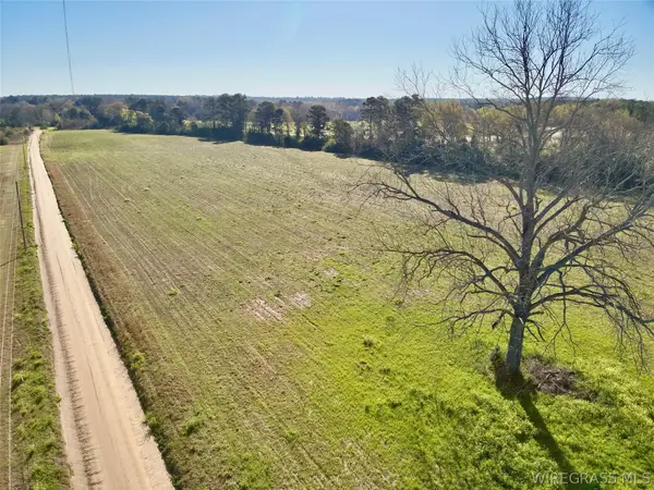 10.73 Acres Huskey Road, Dothan, AL 36303