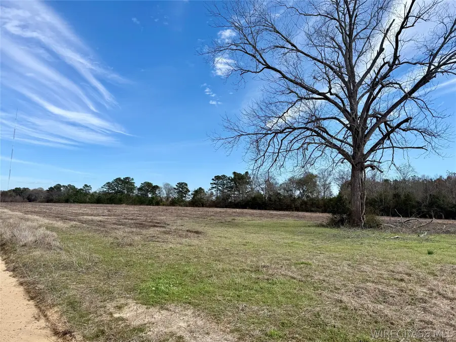 10.73 Acres Huskey Road, Dothan, AL 36303 - #2