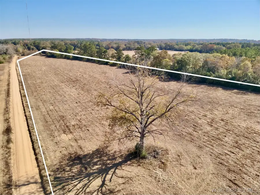 10.73 Acres Huskey Road, Dothan, AL 36303 - #3