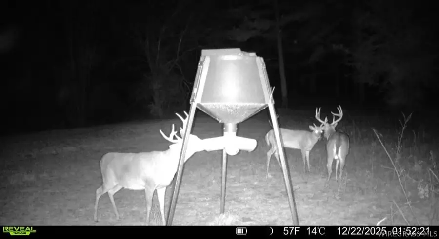 30 Acres County Road 734, Chancellor, AL 36316 - #3