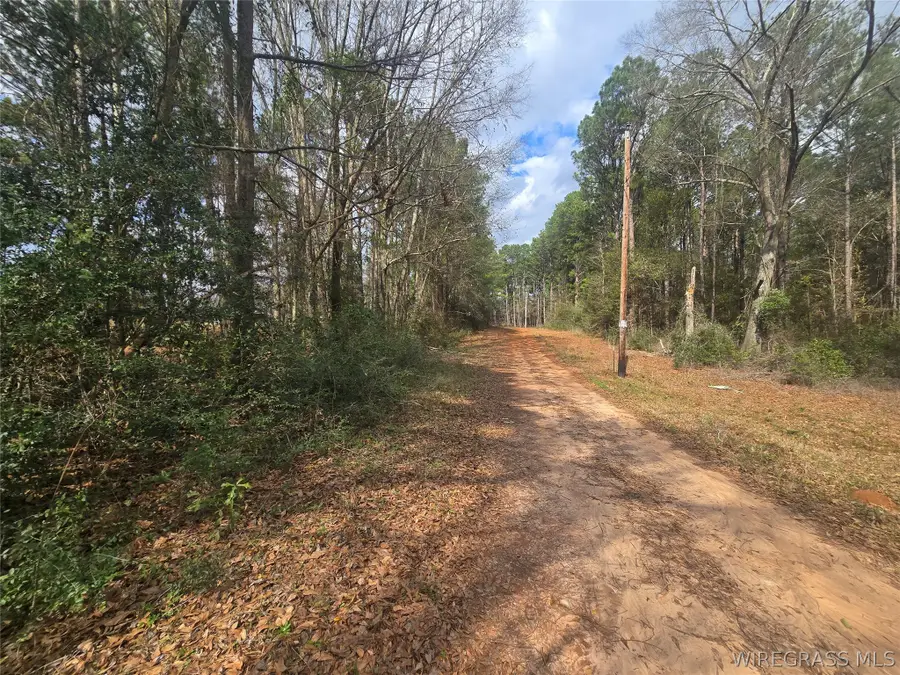 0 County Road 619, Enterprise, AL 36330 - #2