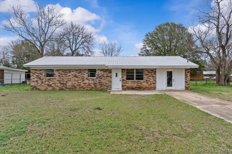 133 Tice Street, Midland City, AL 36350 - #2