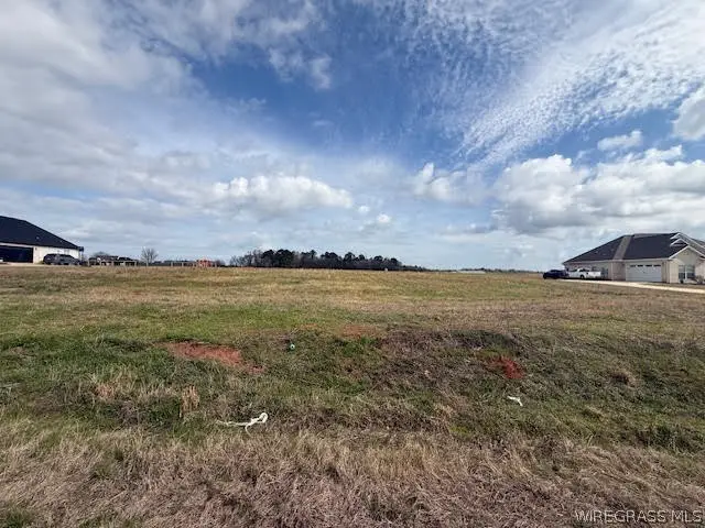 Lot 10 County Road 711, Enterprise, AL 36330 - #2