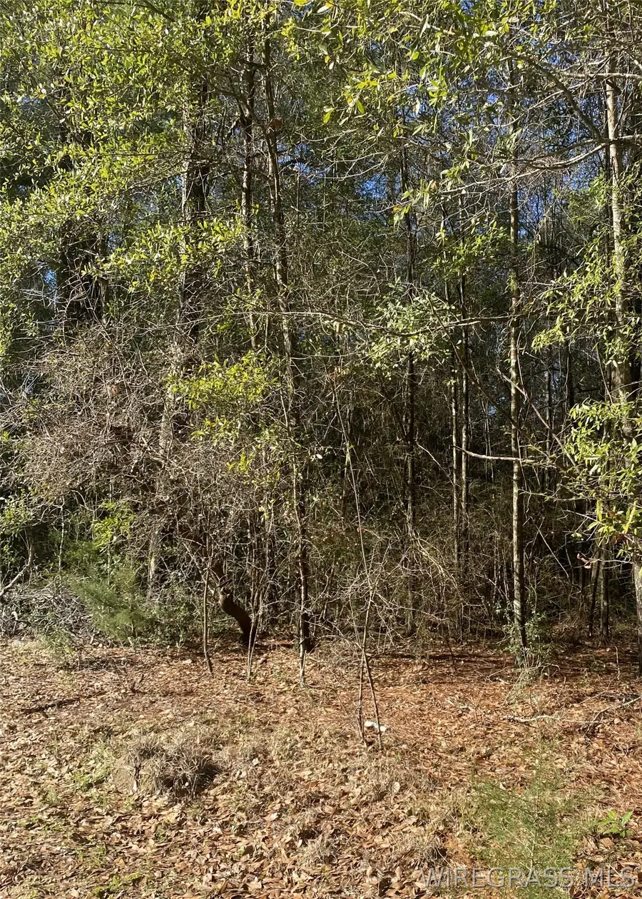 000 Linda Street, Andalusia, AL 36421 - #2