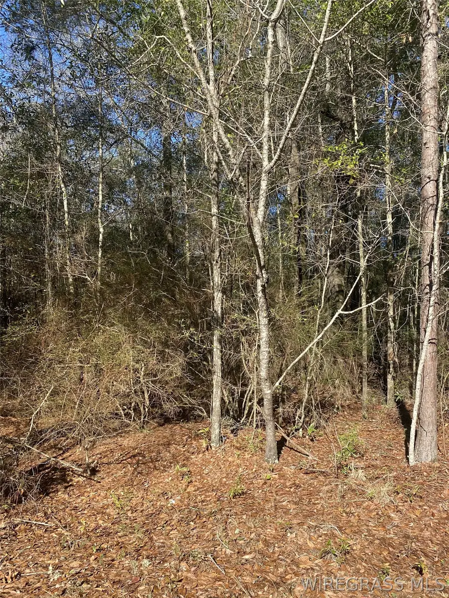 000 Linda Street, Andalusia, AL 36421 - #3