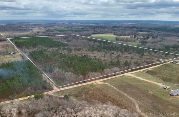 86+/- acres New Hinson Road, Slocomb, AL 36375