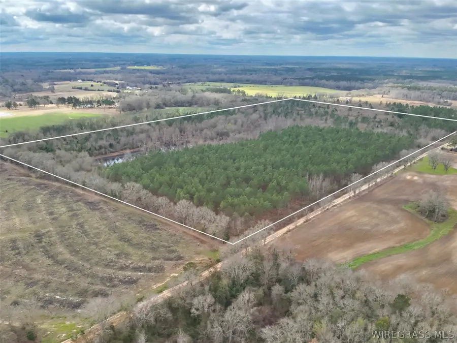 86+/- acres New Hinson Road, Slocomb, AL 36375 - #2
