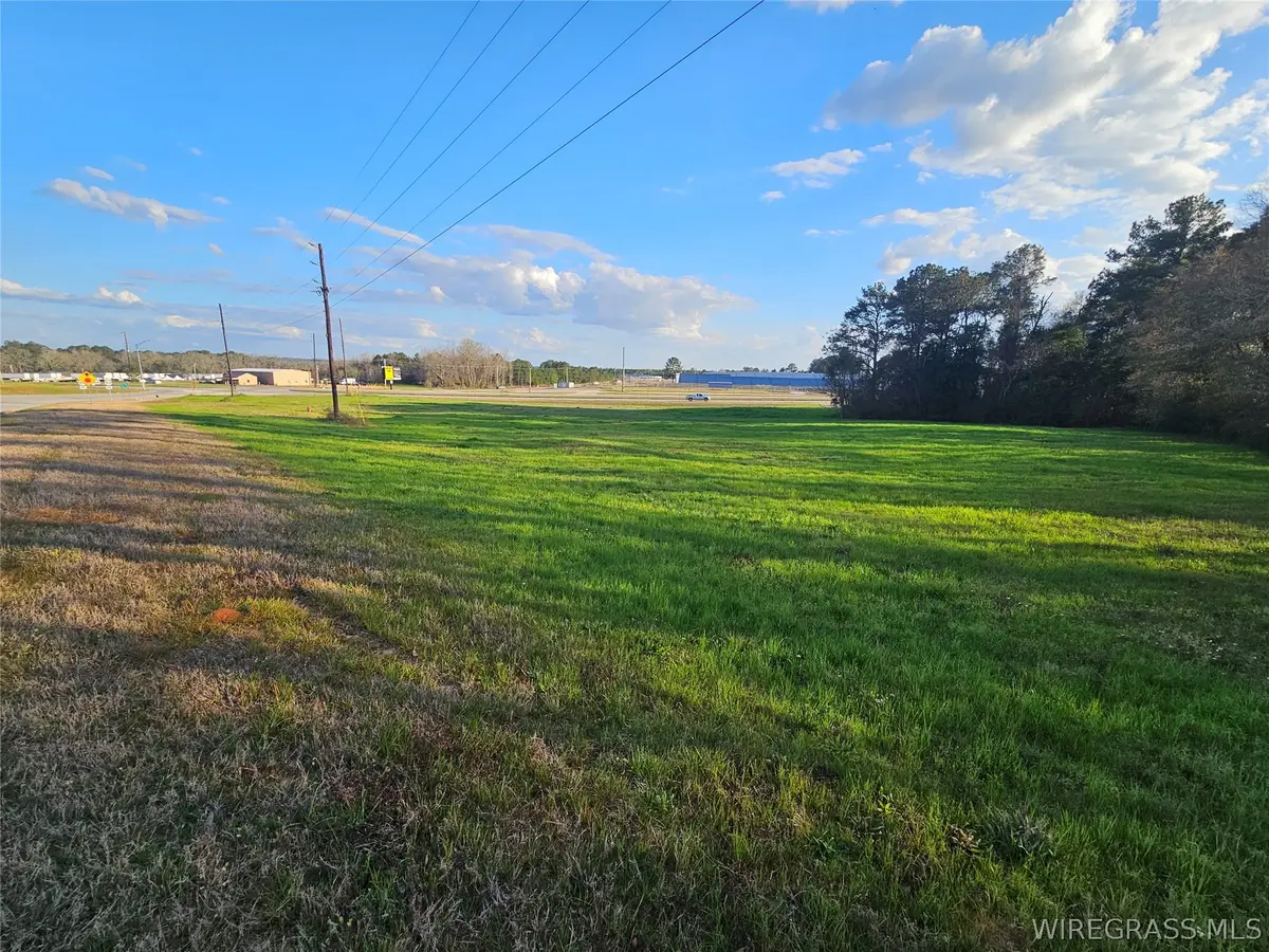 0 Hickman Avenue, Elba, AL 36323 - #1
