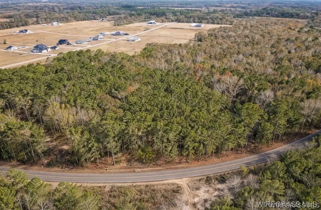 0 County Road 603, New Brockton, AL 36351 - #1