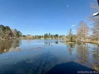 26051 Bush Isle Road, Andalusia, AL 36421 - #1