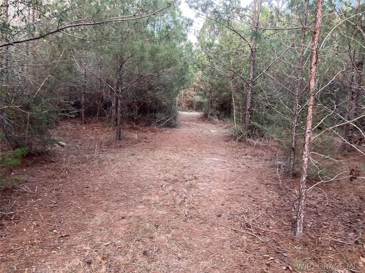 36581 Odom Road, Dozier, AL 36028 - #1