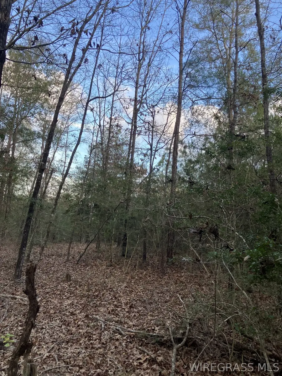 36581 Odom Road, Dozier, AL 36028 - #2