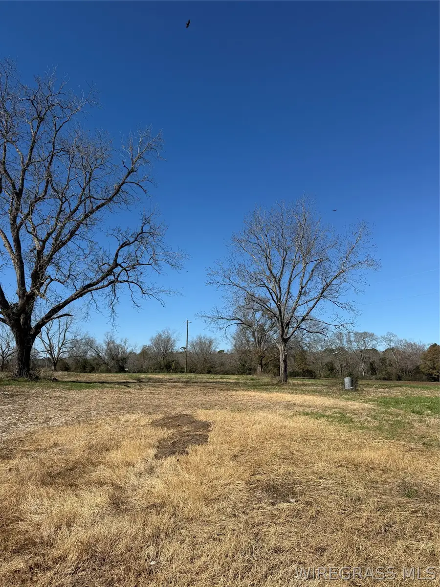 0 Enterprise Highway, Geneva, AL 36340 - #3