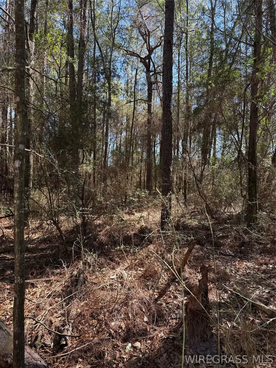 0 Spring Lake Drive, Geneva, AL 36340 - #2