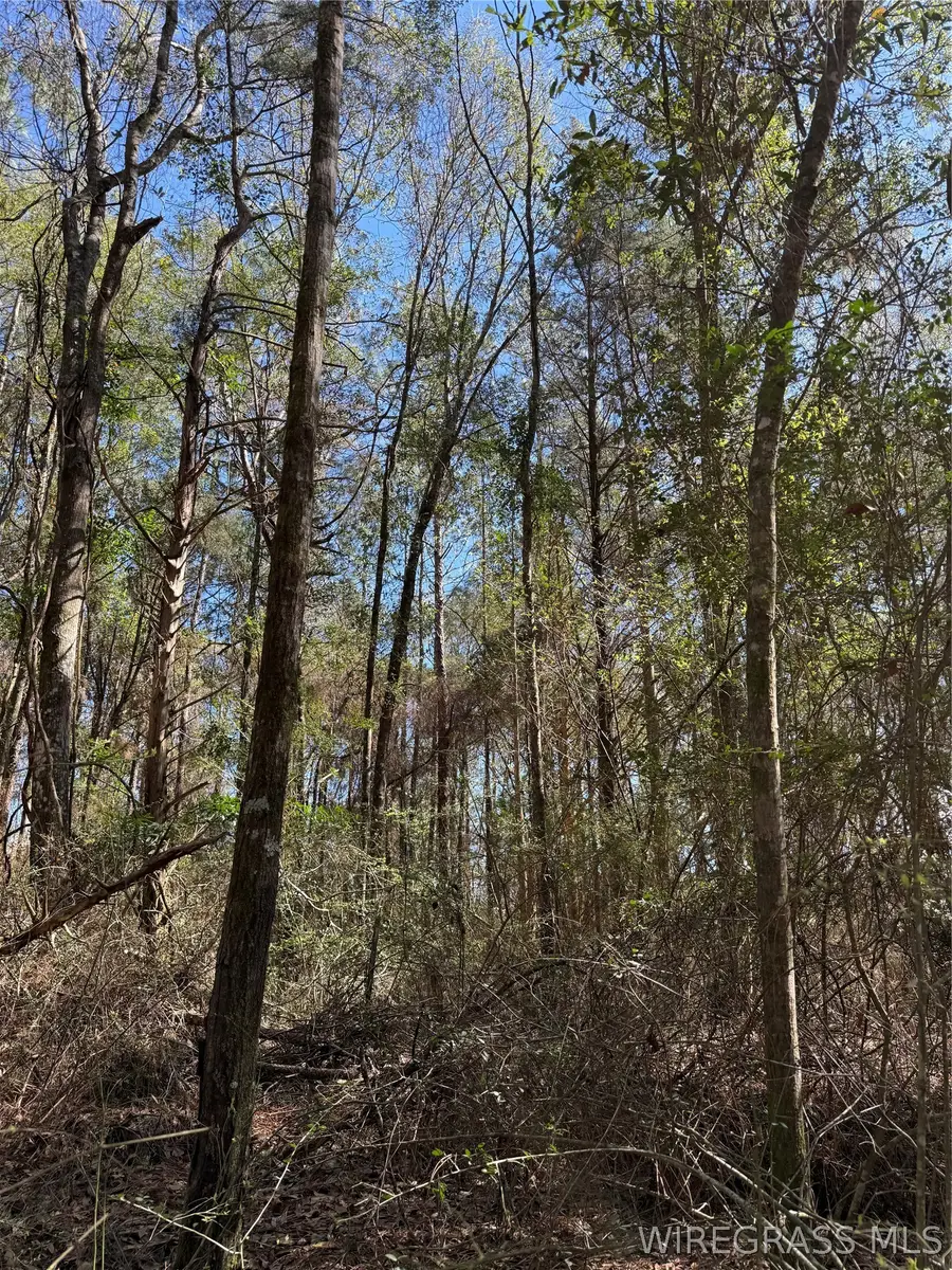 0 Spring Lake Drive, Geneva, AL 36340 - #3