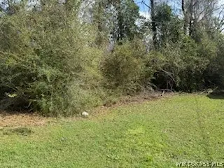 1436 Claxton Avenue N, Elba, AL 36323 - #1