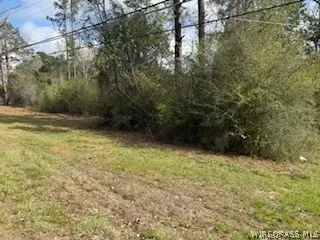 1436 Claxton Avenue N, Elba, AL 36323 - #2