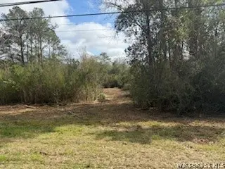 1436 Claxton Avenue N, Elba, AL 36323 - #3