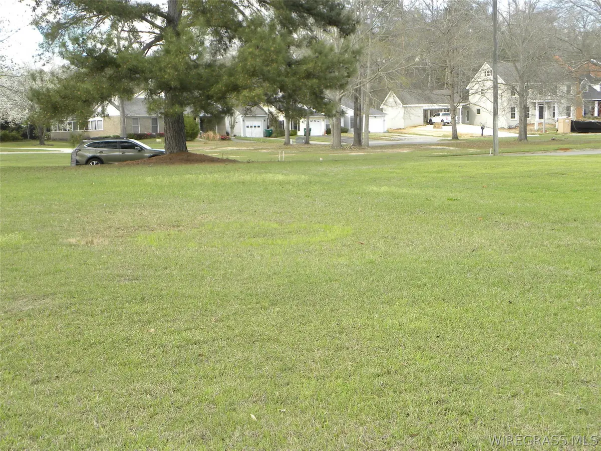 0 Terrell Place, Ozark, AL 36360 - #1