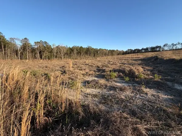 0 County Road 105, Jack, AL 36346