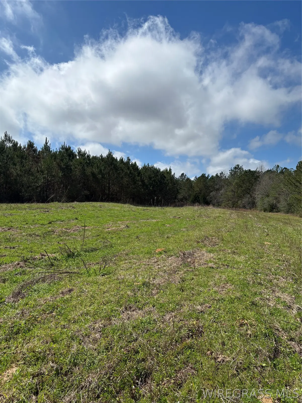 35729 Hesters Store Road, Red Level, AL 36474 - #1