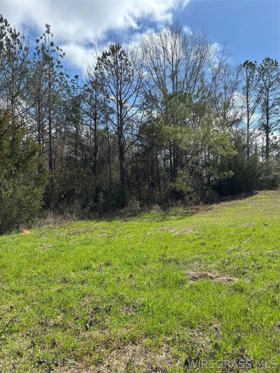 35729 Hesters Store Road, Red Level, AL 36474 - #3