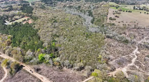 0 County Road 437 Highway, Daleville, AL 36322