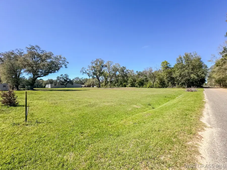 0 Mcdougald Street, Geneva, AL 36340 - #2