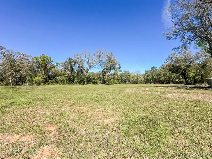 0 Mcdougald Street, Geneva, AL 36340 - #3