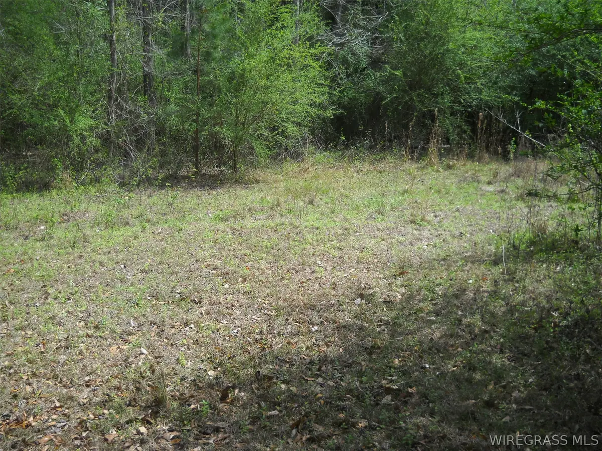 900 Hopeful Church Road, Ozark, AL 36360 - #1