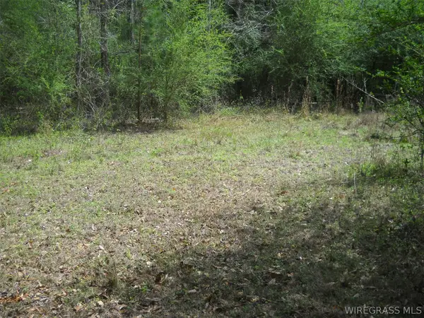 900 Hopeful Church Road, Ozark, AL 36360