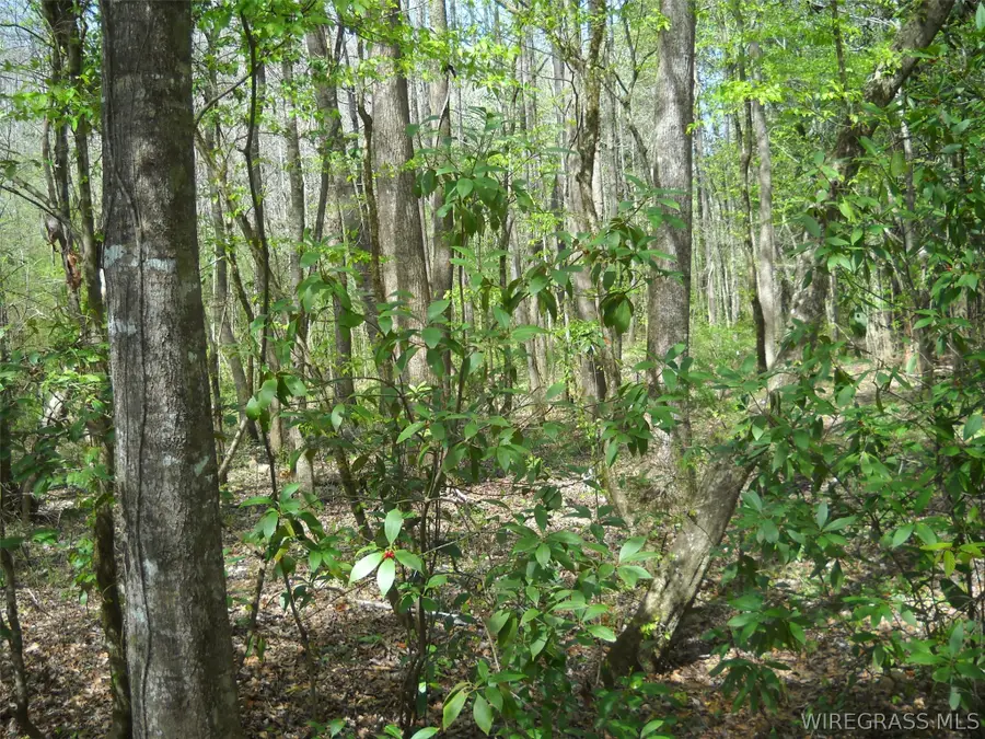 900 Hopeful Church Road, Ozark, AL 36360 - #2