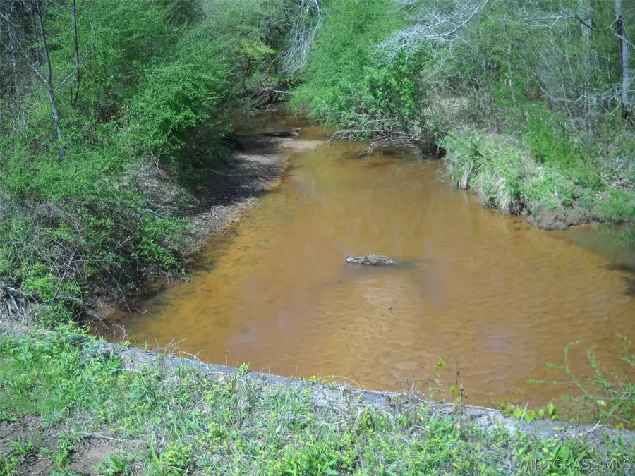 900 Hopeful Church Road, Ozark, AL 36360 - #3