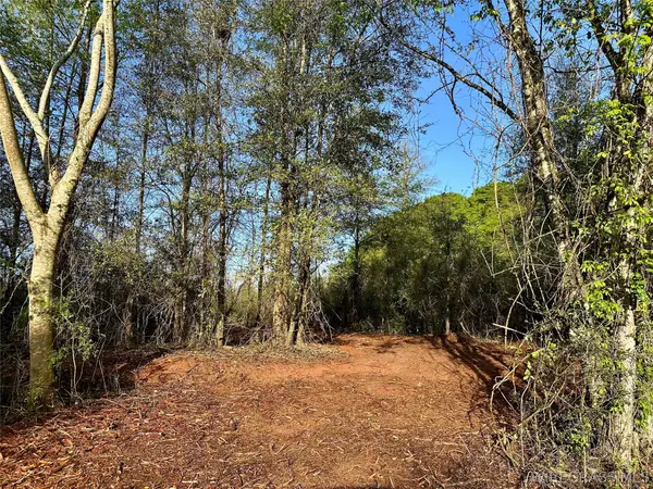 5.14 N County Road 61, Hartford, AL 36344