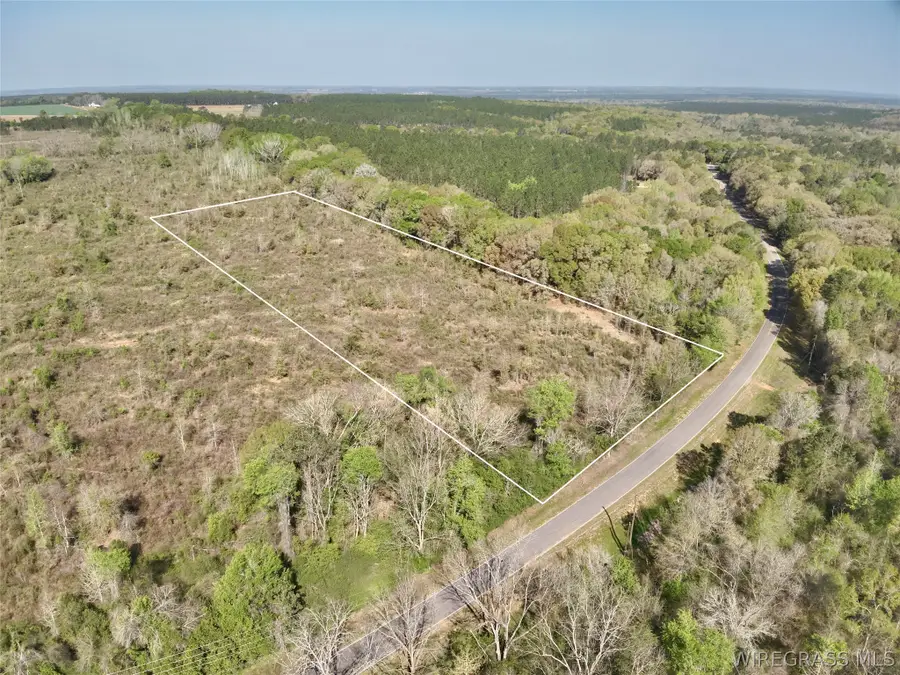 5.14 N County Road 61, Hartford, AL 36344 - #2