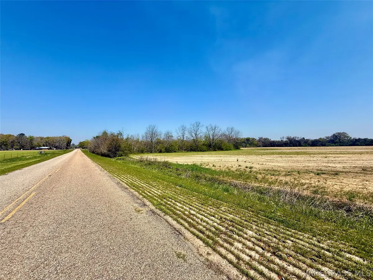 13 Acres Creek Church Road, Pansey, AL 36370 - #1