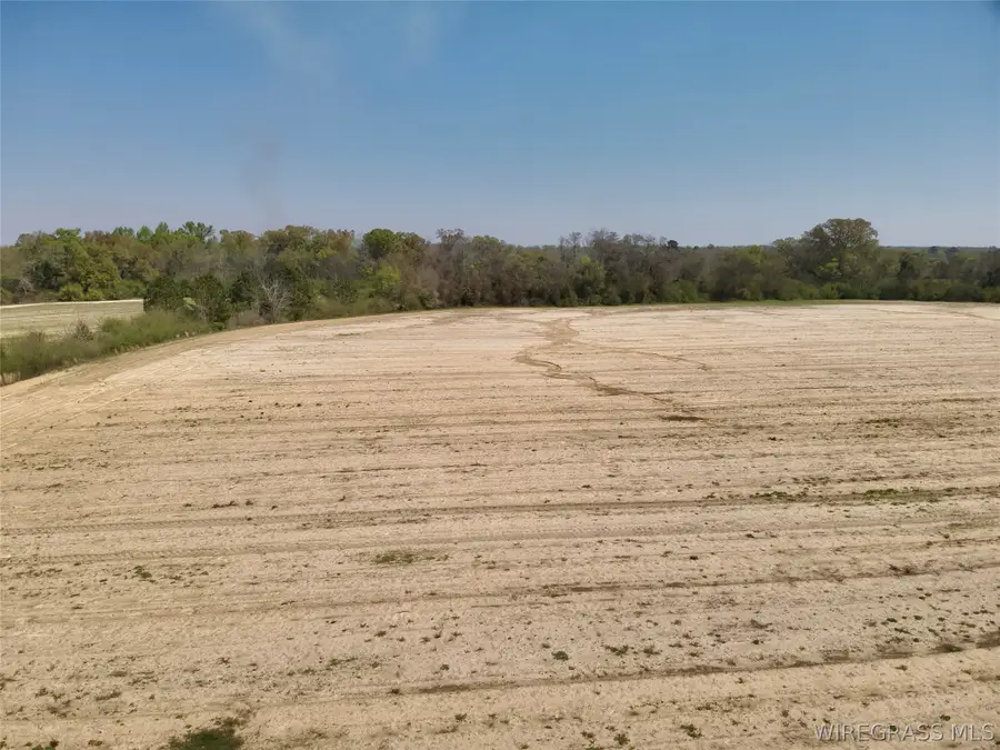 13 Acres Creek Church Road, Pansey, AL 36370 - #3