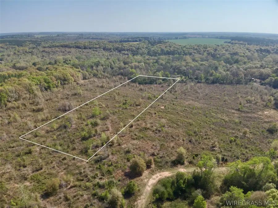 5.58 Acres N County Road 61, Hartford, AL 36344 - #2