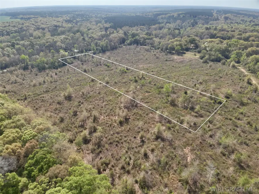 5.58 Acres N County Road 61, Hartford, AL 36344 - #3