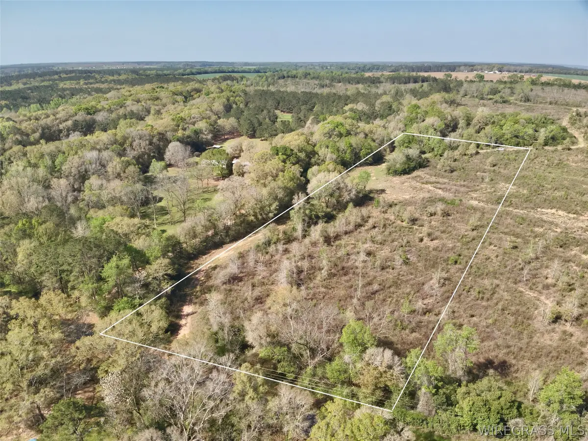 5.650 Acres N County Road 61, Hartford, AL 36344 - #1