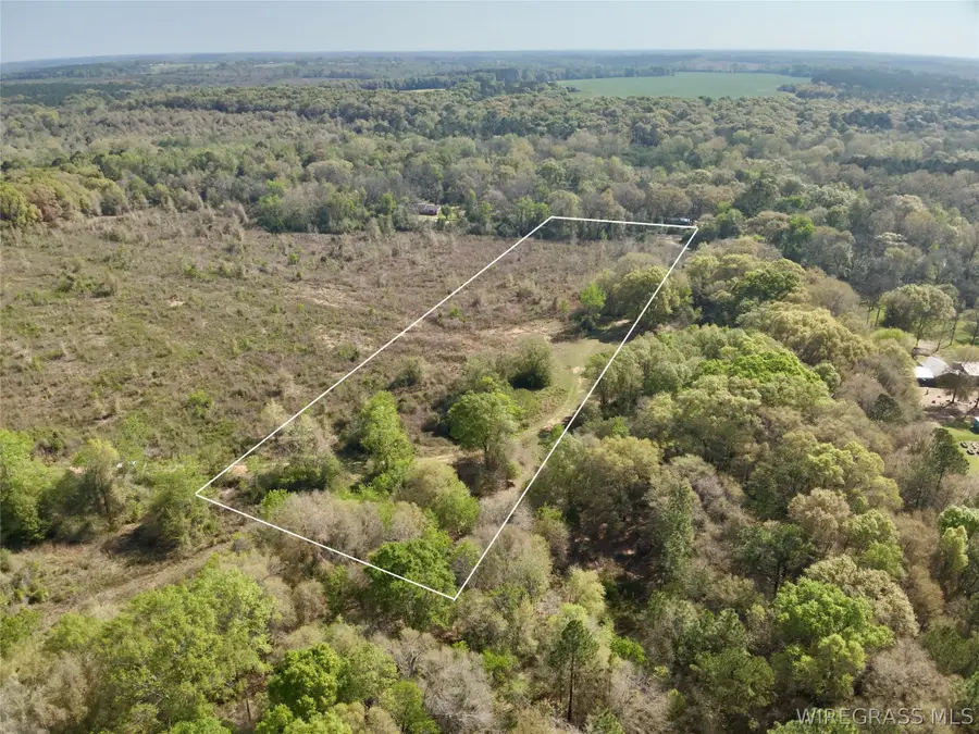 5.650 Acres N County Road 61, Hartford, AL 36344 - #2