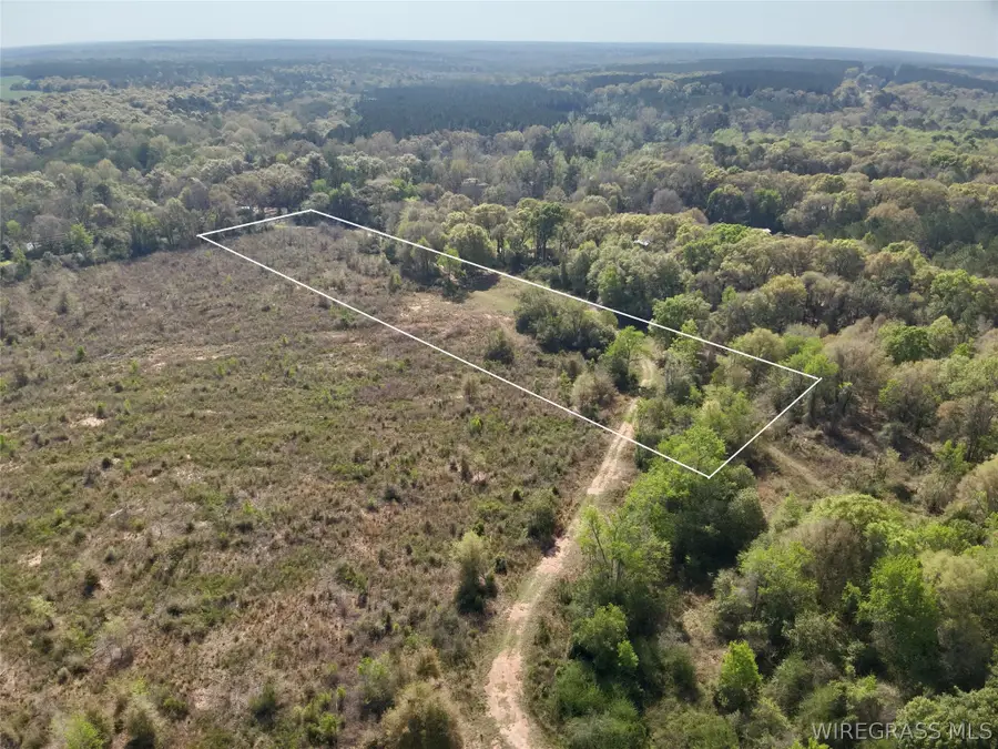 5.650 Acres N County Road 61, Hartford, AL 36344 - #3