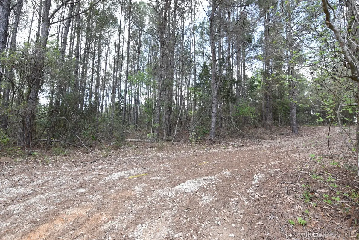 00 Tank Hill Road, Daleville, AL 36322 - #1