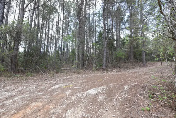 00 Tank Hill Road, Daleville, AL 36322