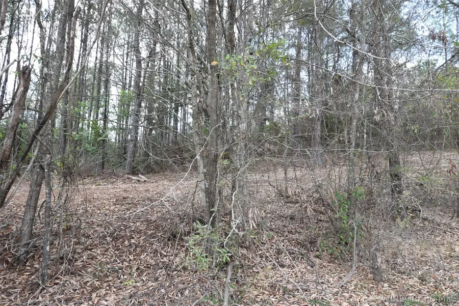 00 Tank Hill Road, Daleville, AL 36322 - #2