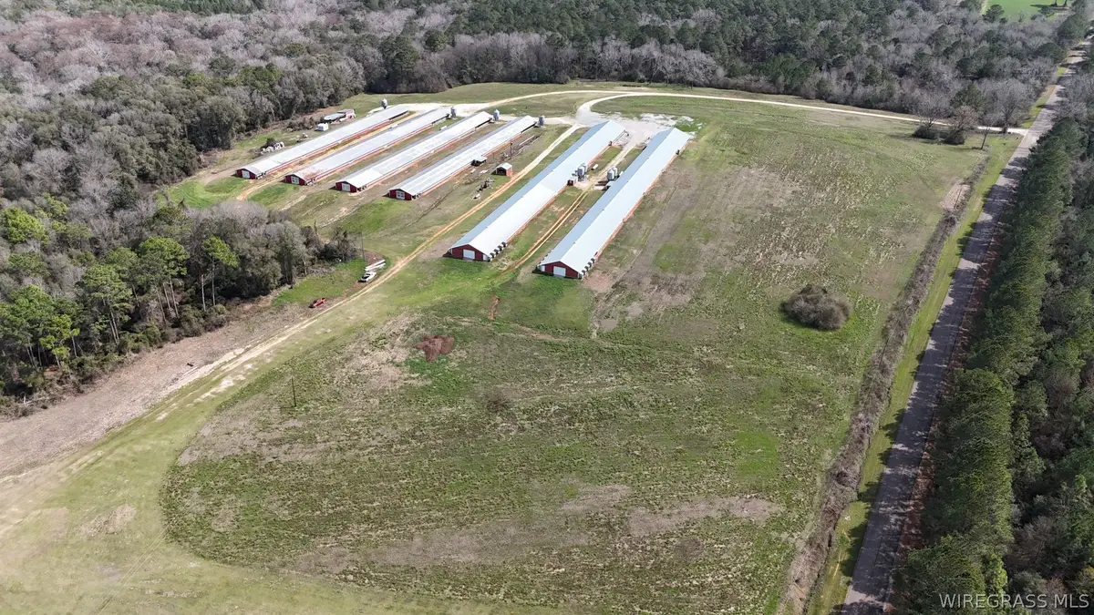 00 County Road 6 Road, Black, AL 36314 - #1