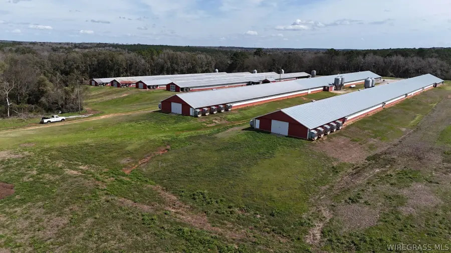 00 County Road 6 Road, Black, AL 36314 - #2