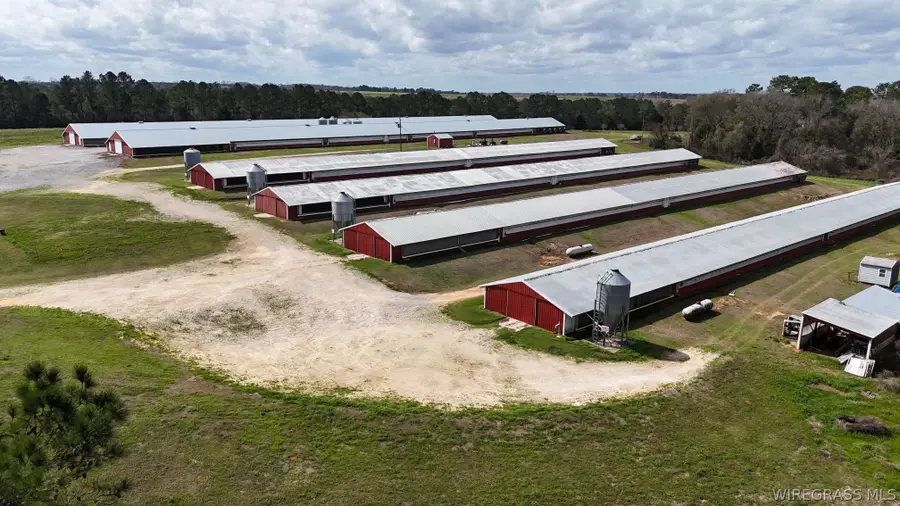 00 County Road 6 Road, Black, AL 36314 - #3