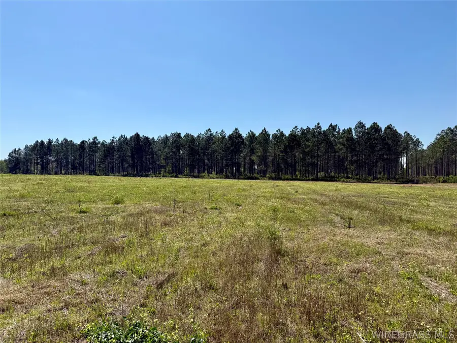 3.88 Acres Huskey Road, Dothan, AL 36303 - #3